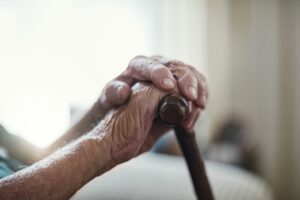How Do Senior Living Communities Work - senior living lafayette - maison levie