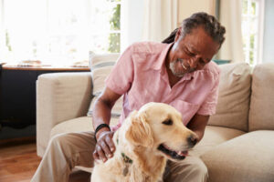 The Role of Pets in Senior Health and Happiness - assisted living in lafayette - maison levie
